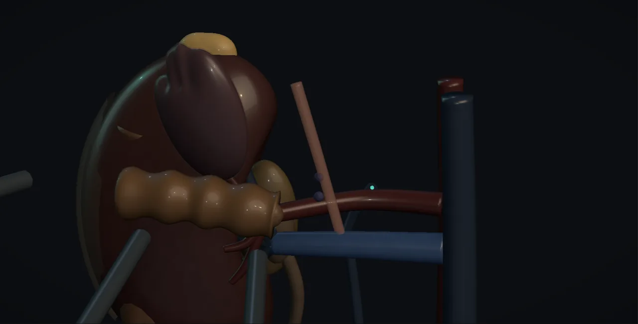 Rendered frame from the Interactive laparoscopic adrenalectomy