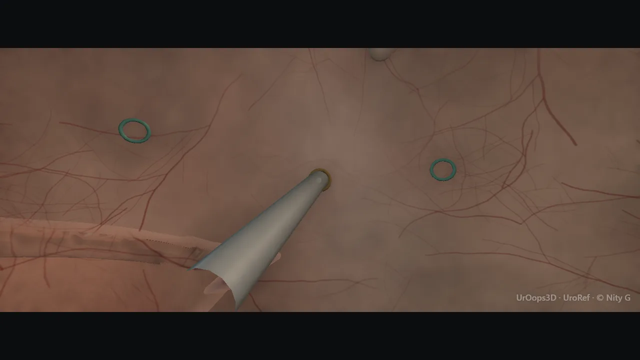 Rendered frame from the Interactive operative model