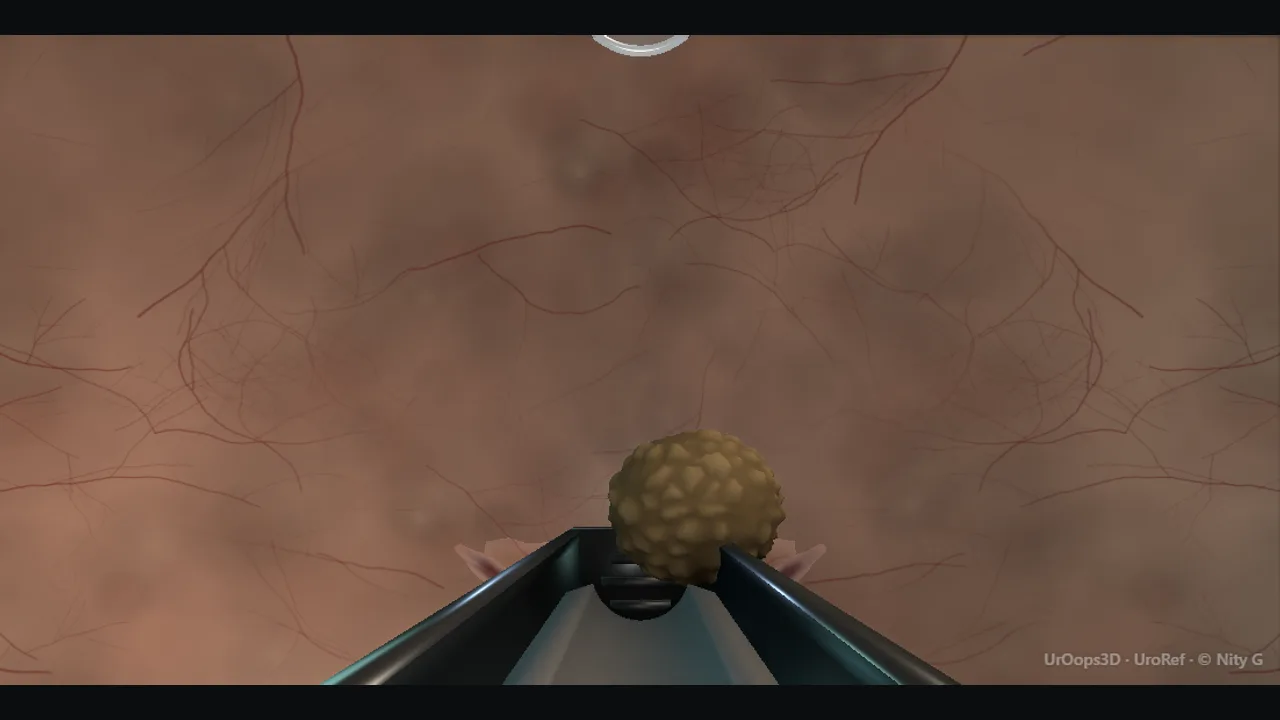Rendered frame from the Interactive operative model
