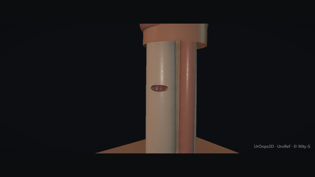 Rendered frame from the Interactive operative model