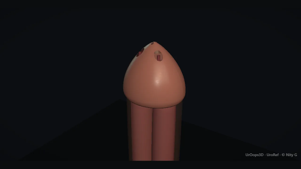Rendered frame from the Interactive operative model