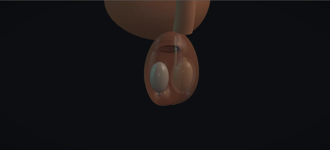 Rendered frame from the Interactive testicular prosthesis insertion