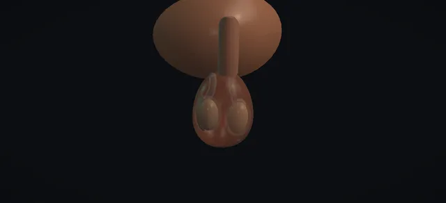 Operative plate: Vasectomy reversal