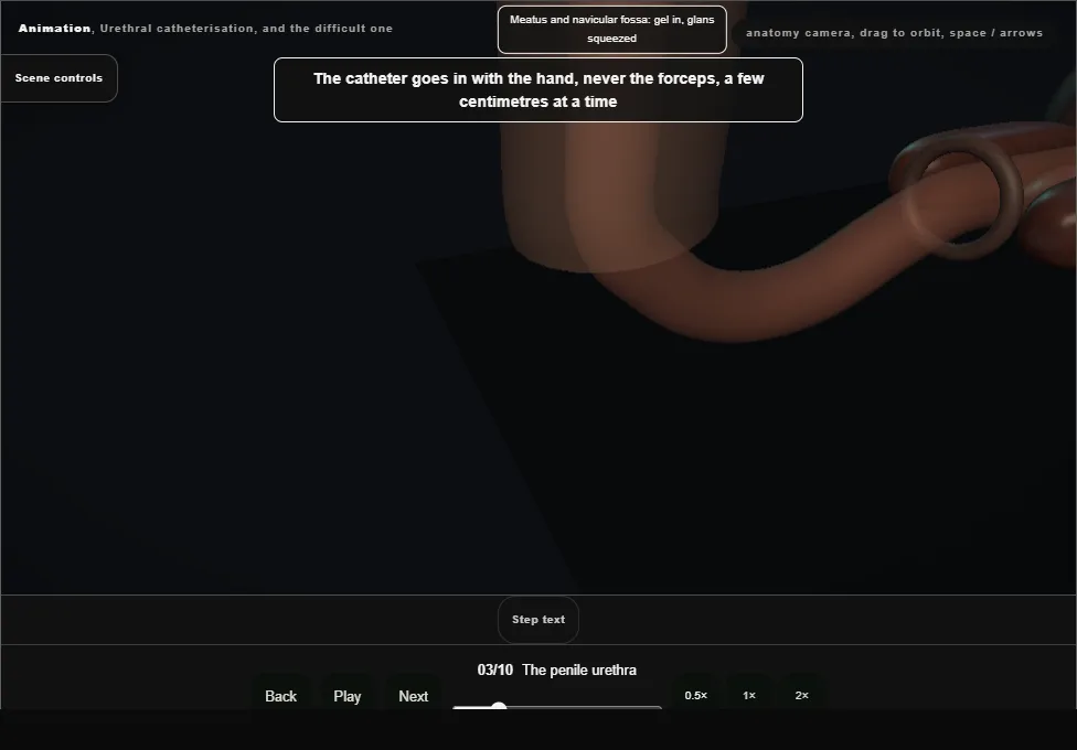 Urethral catheterisation, and the difficult one. Step 3: The penile urethra. Captured frame from the interactive animation.