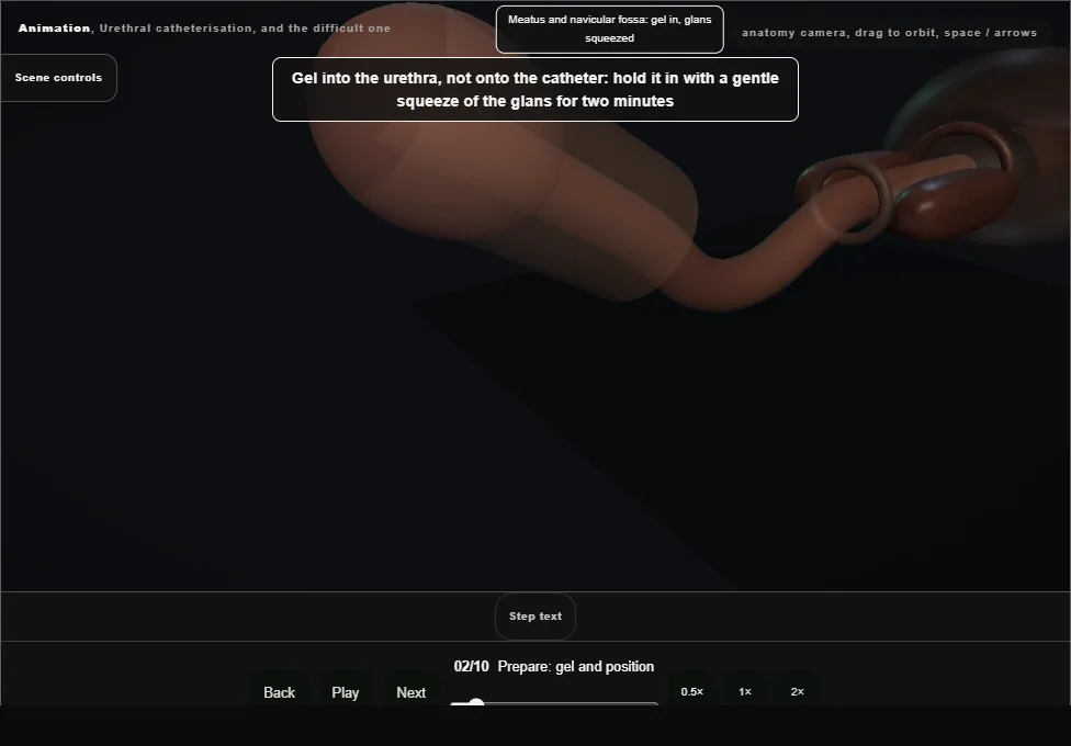 Urethral catheterisation, and the difficult one. Step 2: Prepare: gel and position. Captured frame from the interactive animation.