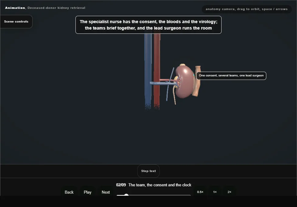 Deceased-donor kidney retrieval. Step 2: The team, the consent and the clock. Captured frame from the interactive animation.