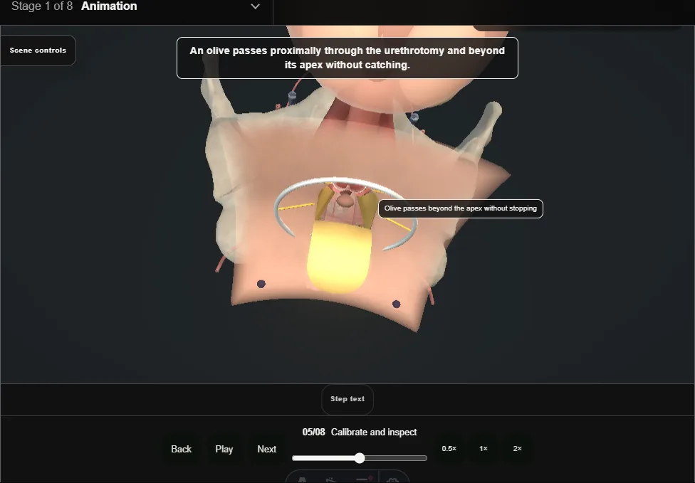 Perineal urethrostomy: inverted-U flap. Step 5: Calibrate and inspect. Captured frame from the interactive animation.